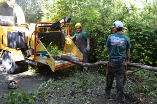 tree services Fruitdale